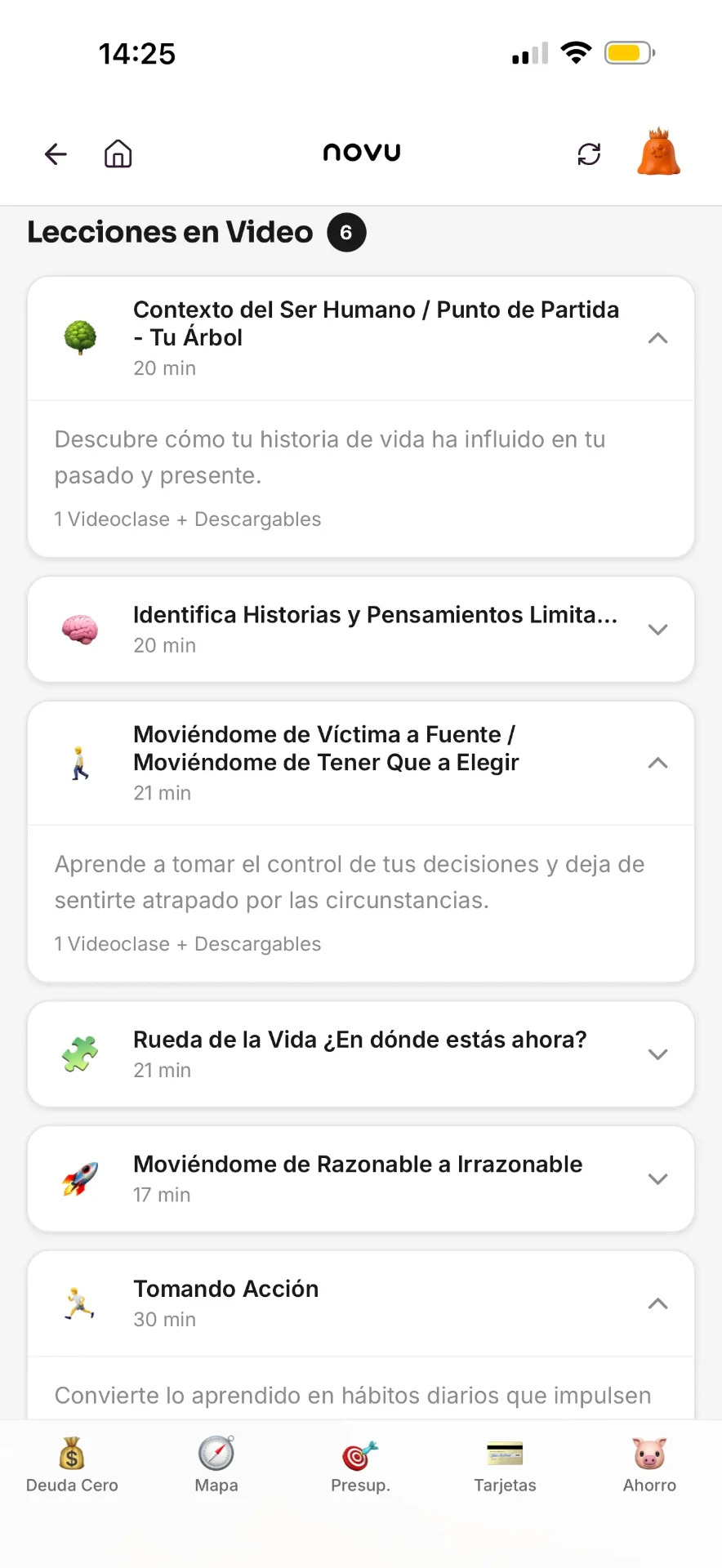 Lecciones en video del Mini Curso de Mentalidad